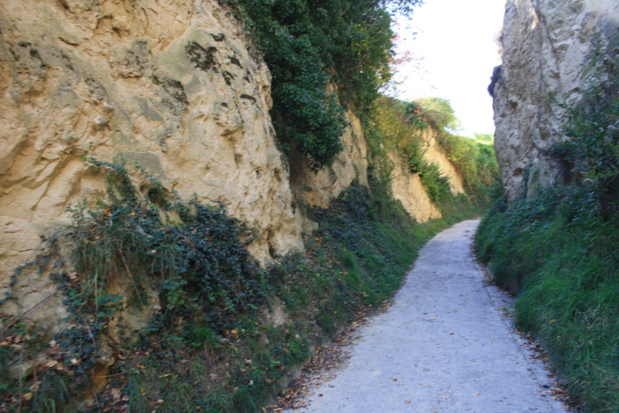 Hohlweg im Loess bei Bickensohl
