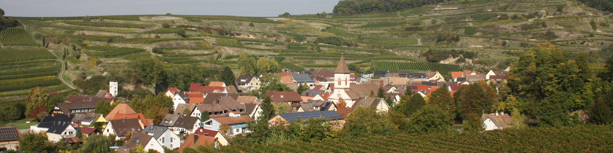 achkarren-vogtsburg Blick auf Achkarren