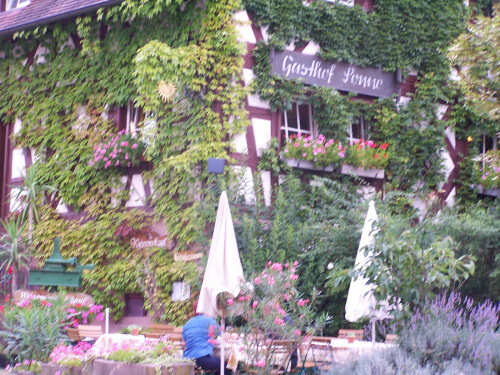 Amoltern im Kaiserstuhl