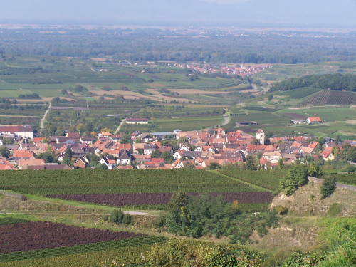 Bischoffingen liegt zentral im Kaiserstuhl