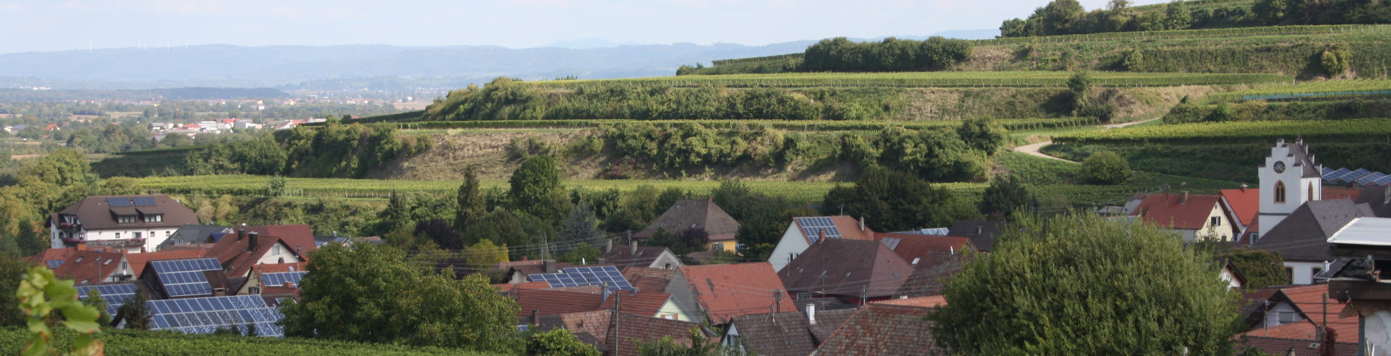 Leiselheim und die Reben