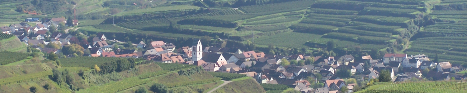 Blick auf Oberbergen im kaiserstuhl