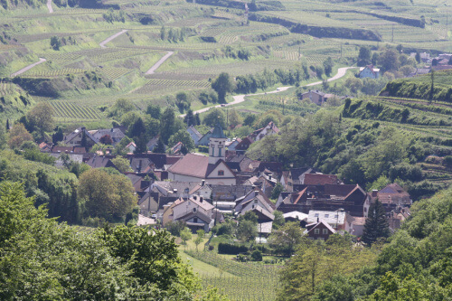Blick auf Schelingen