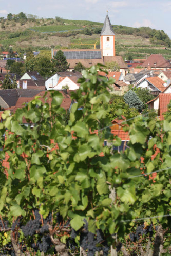 Sasbach Ort