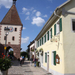 Torli Endingen