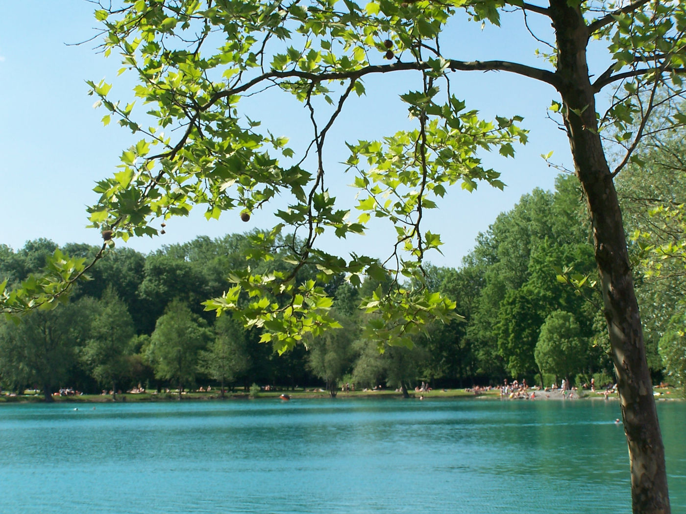 Baggersee zum Baden am Kaiserstuhl