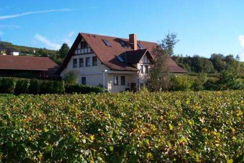 Ferienwohnung Göhring in Vogtsburg Bischoffingen