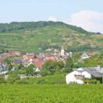 Gästehaus Schätzle in Achkarren Gemeinde Vogtsburg im Kaiserstuhl