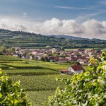 Ferienwohnung Weber Bischoffingen