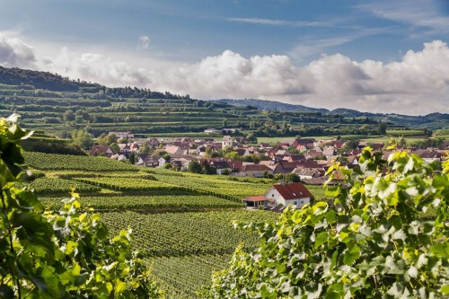 Winerhof-weber-bischoffingen Ferienwohnung Weber Bischoffingen