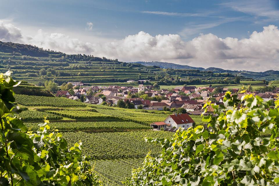 Winerhof-weber-bischoffingen Ferienwohnung Weber Bischoffingen