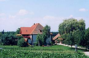 Obsthof NEumühle Familie Sommer Vogtsburg