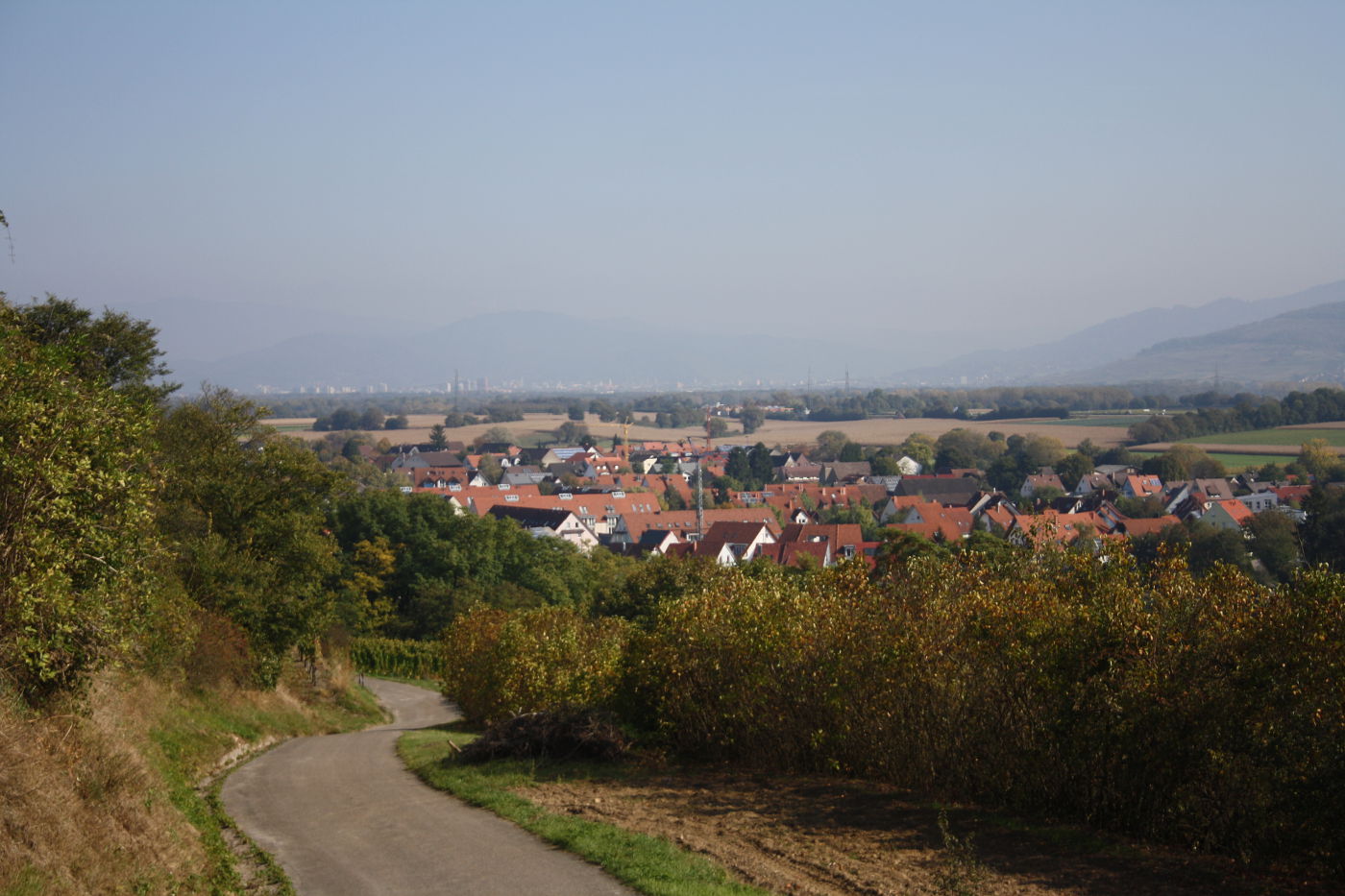 Blick vom tuniberg auf Minzingen bis nach Freiburg