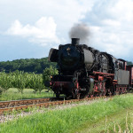 Der Rebenbummler am Kaiserstuhl