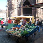 Freiburger Münster