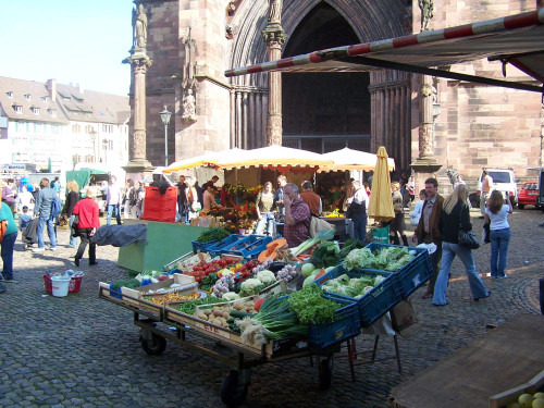 Freiburger Münster