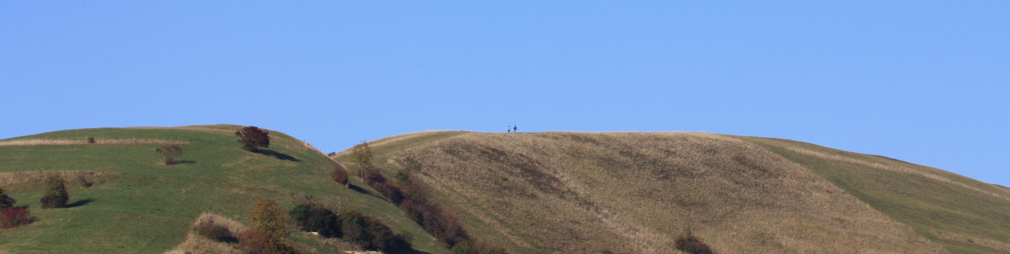 Themenpfade am Kaiserstuhl - Badbergpfad