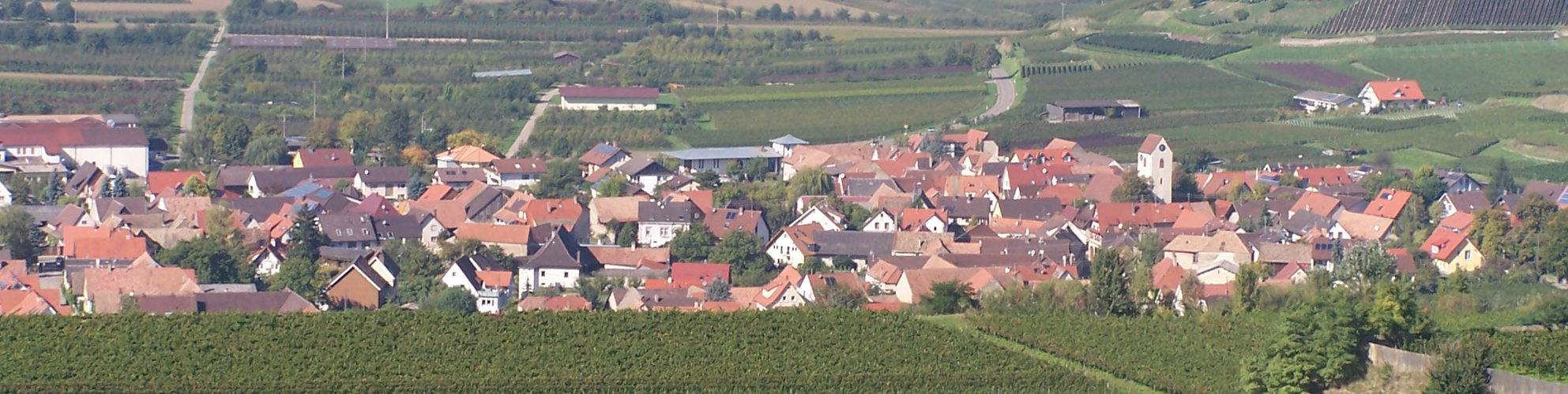 bischoffingen Bischoffingen in den Reben