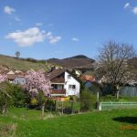 Ferienwohnung Graner in Bickensohl