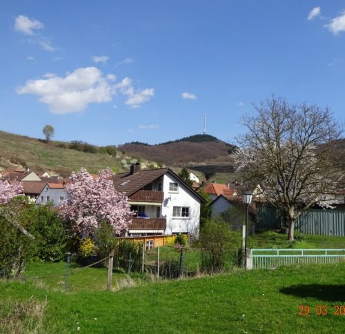 Ferienwohnung Graner Bickensohl