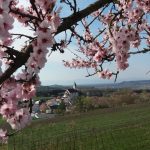 Blick auf Kiechlinsbergen