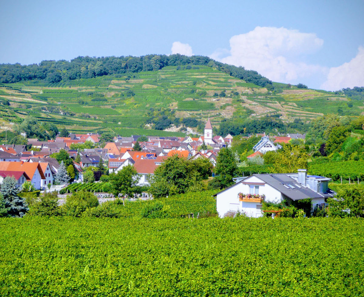 Winzerhof-schaetzle-achkarren