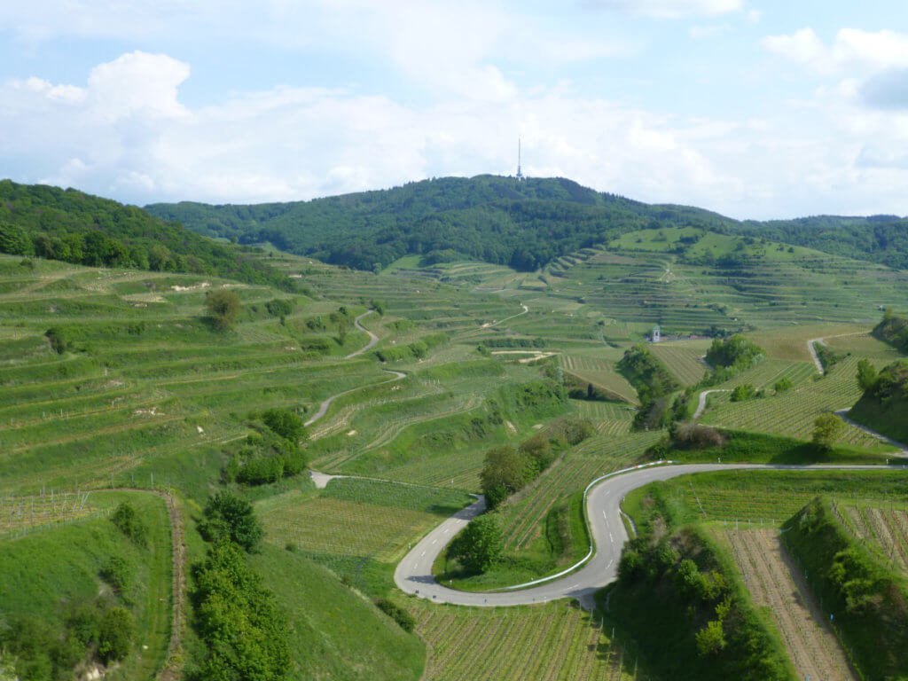 Texasspass Kaiserstuhl