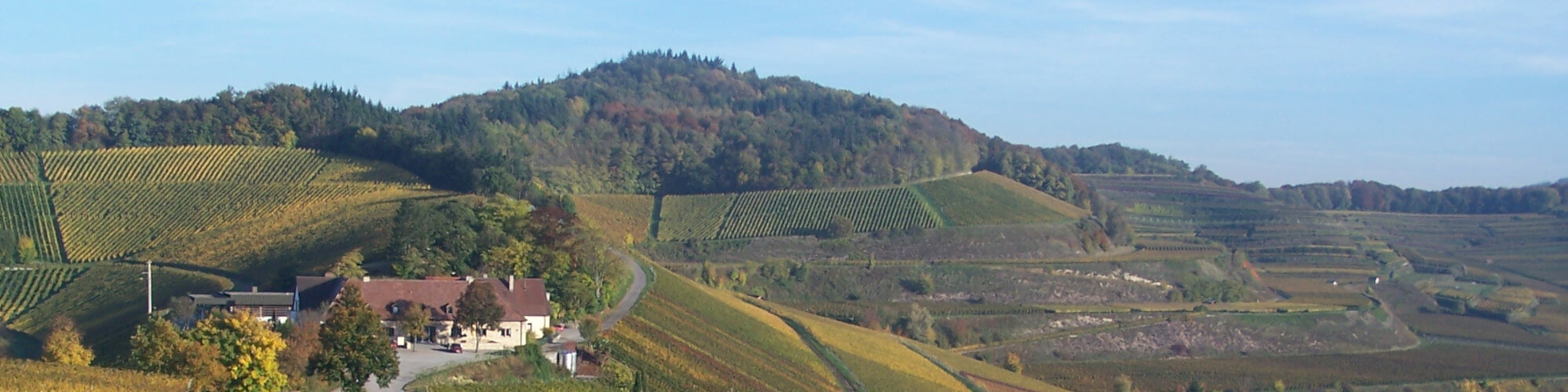 blankenhornsberg Natur am Kaiserstuhl
