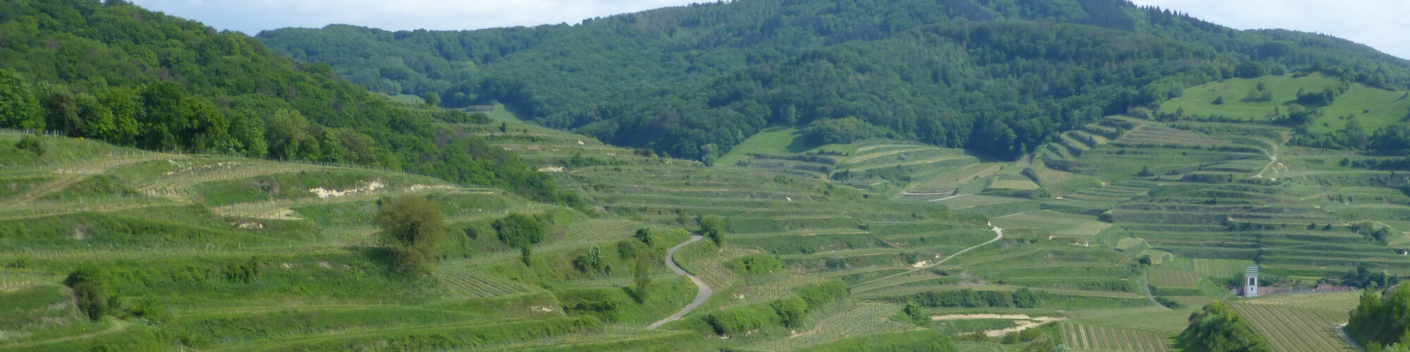 natur-kaiserstuhl Naturlandschaft