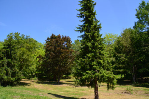 Wanderweg Liliental