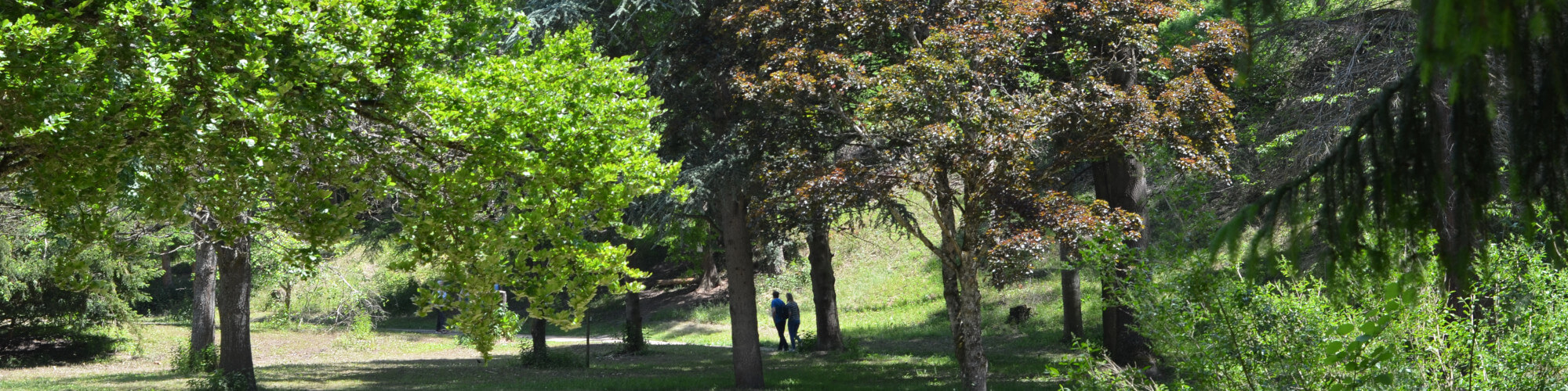 liliental Wandern im Liliental