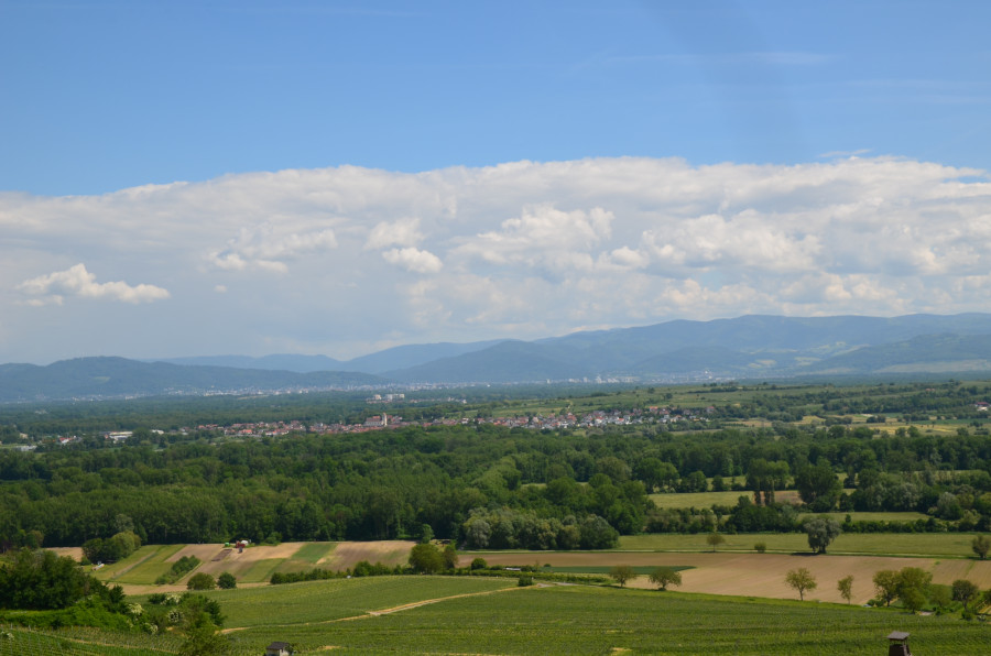 Blick auf Gottenheim