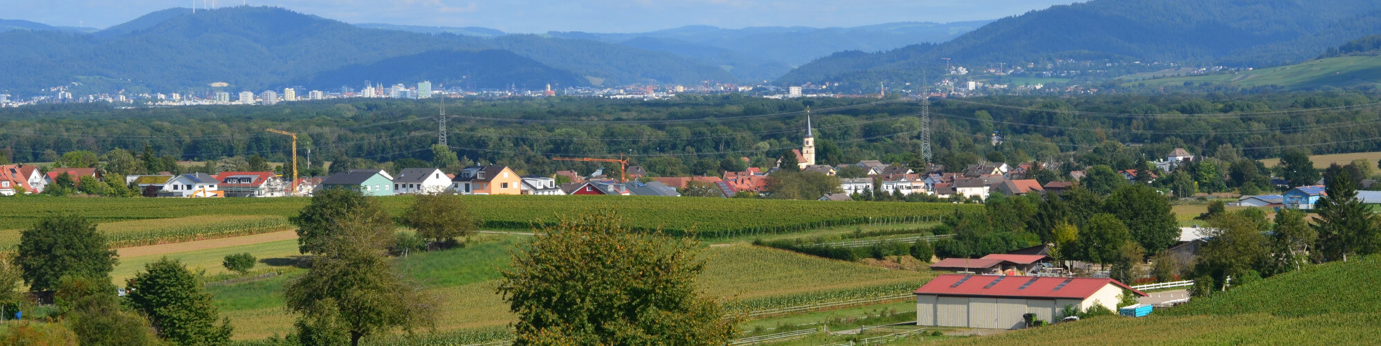 Ansicht Tiengen mit Freiburg