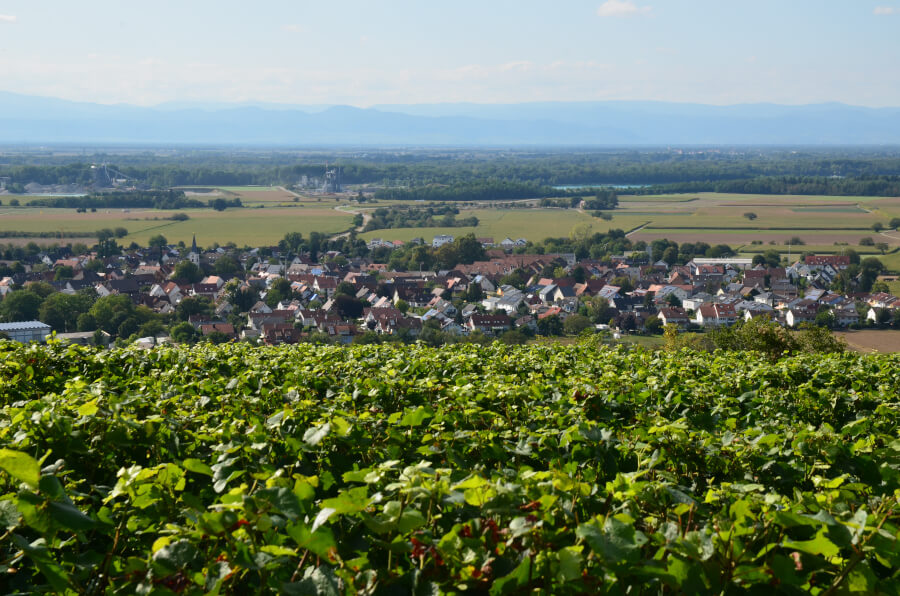 Oberimsingen Tuniberg Blick auf Oberrimsingen am Tuniberg