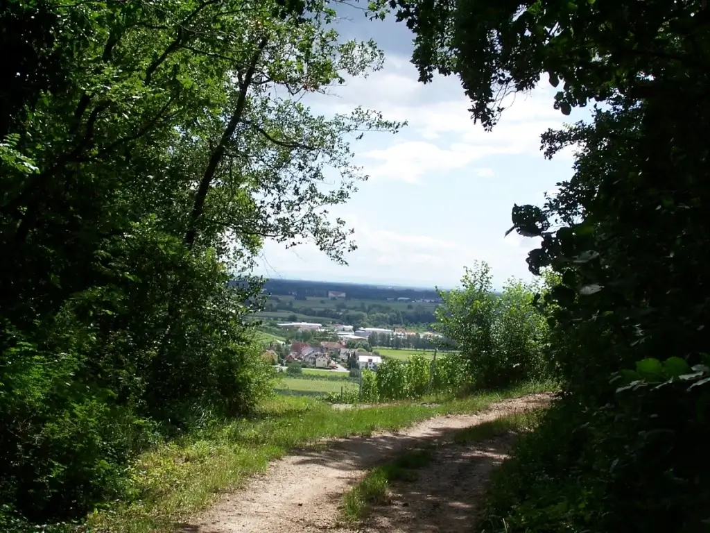 Blick vom Büchsenberg