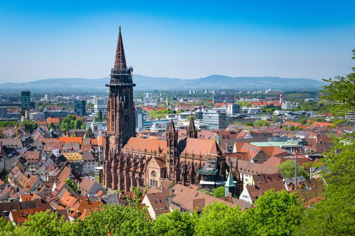 Freiburger Münster