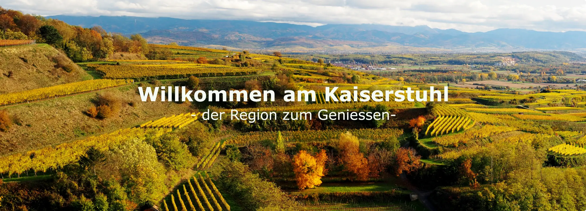 Kaiserstuhl-geniessen-herbst