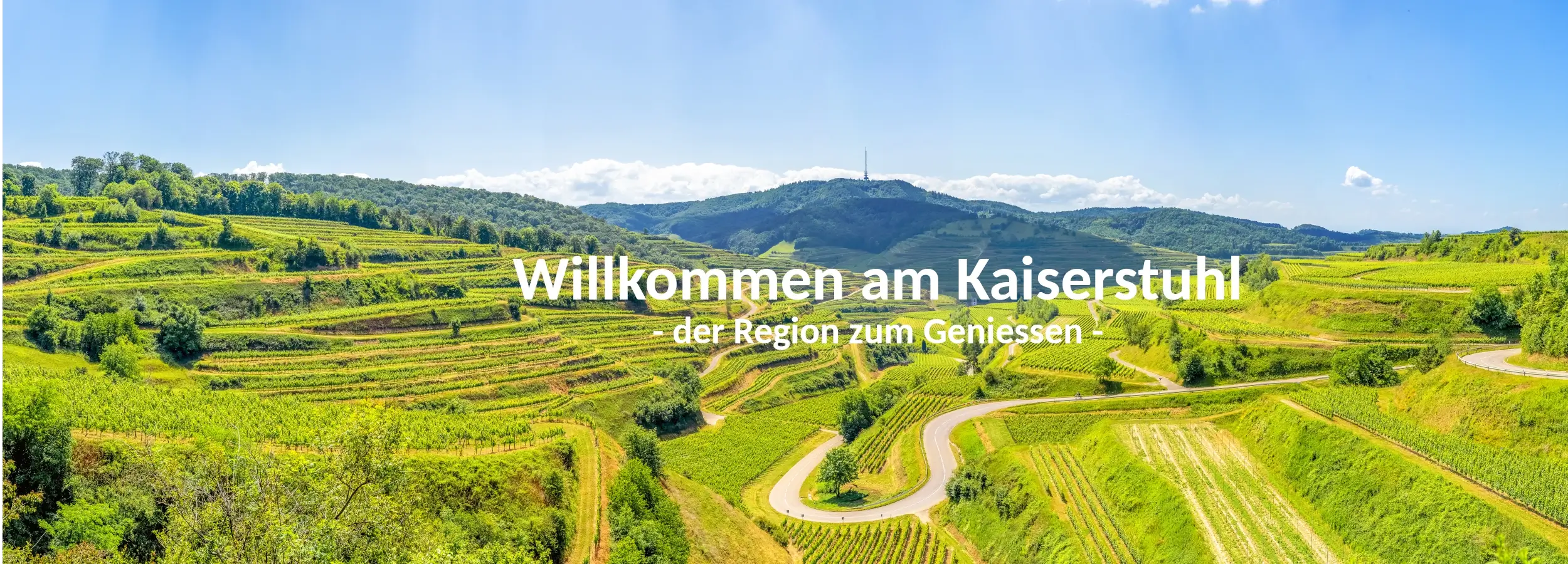 Frühling am Kaiserstuhl